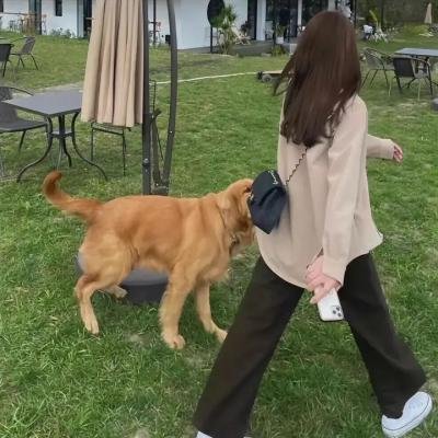 魔法教母